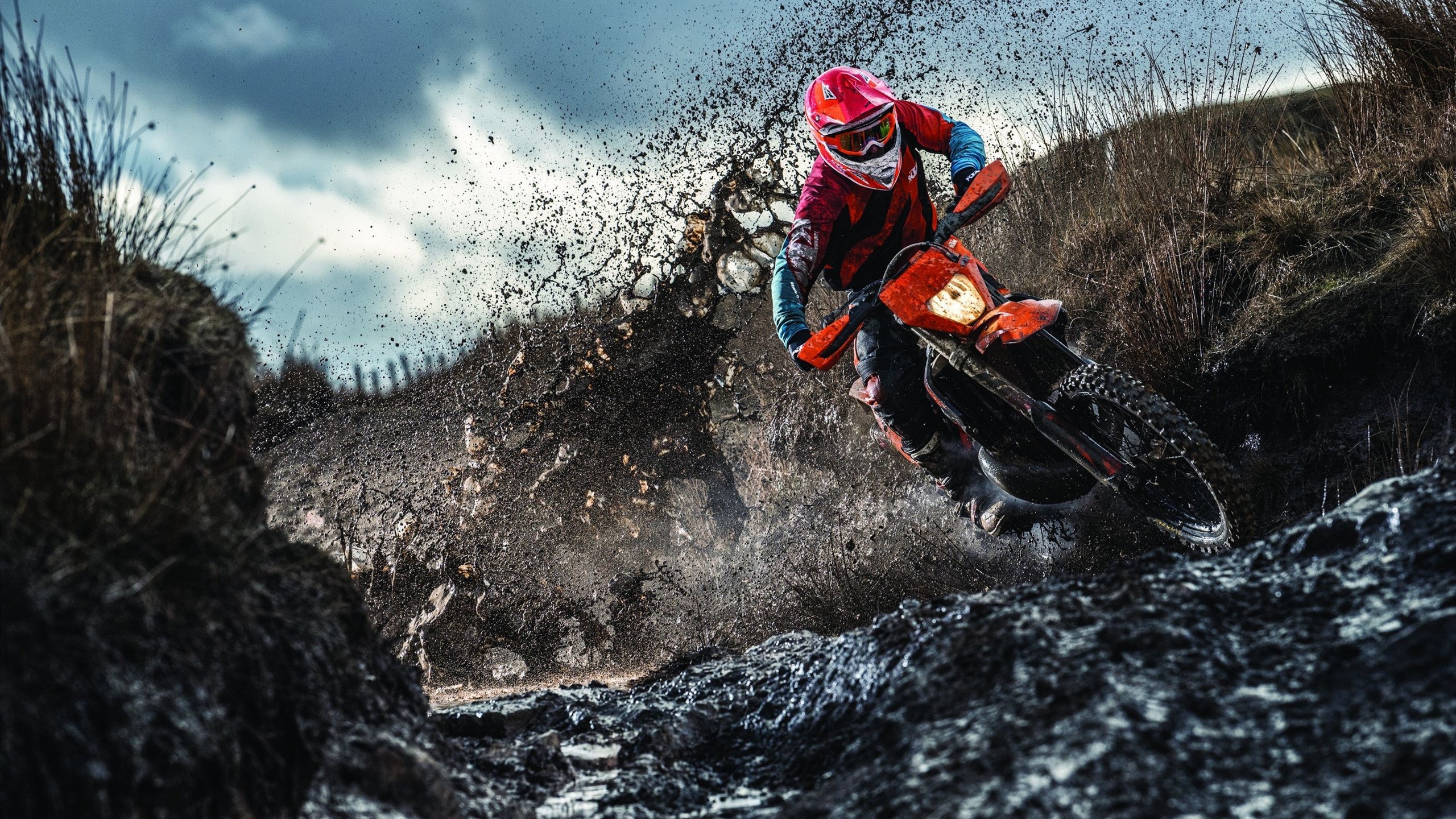 乔治·巴尔：全黑队战术执行的关键球员，场上视野出色，乔治巴德优