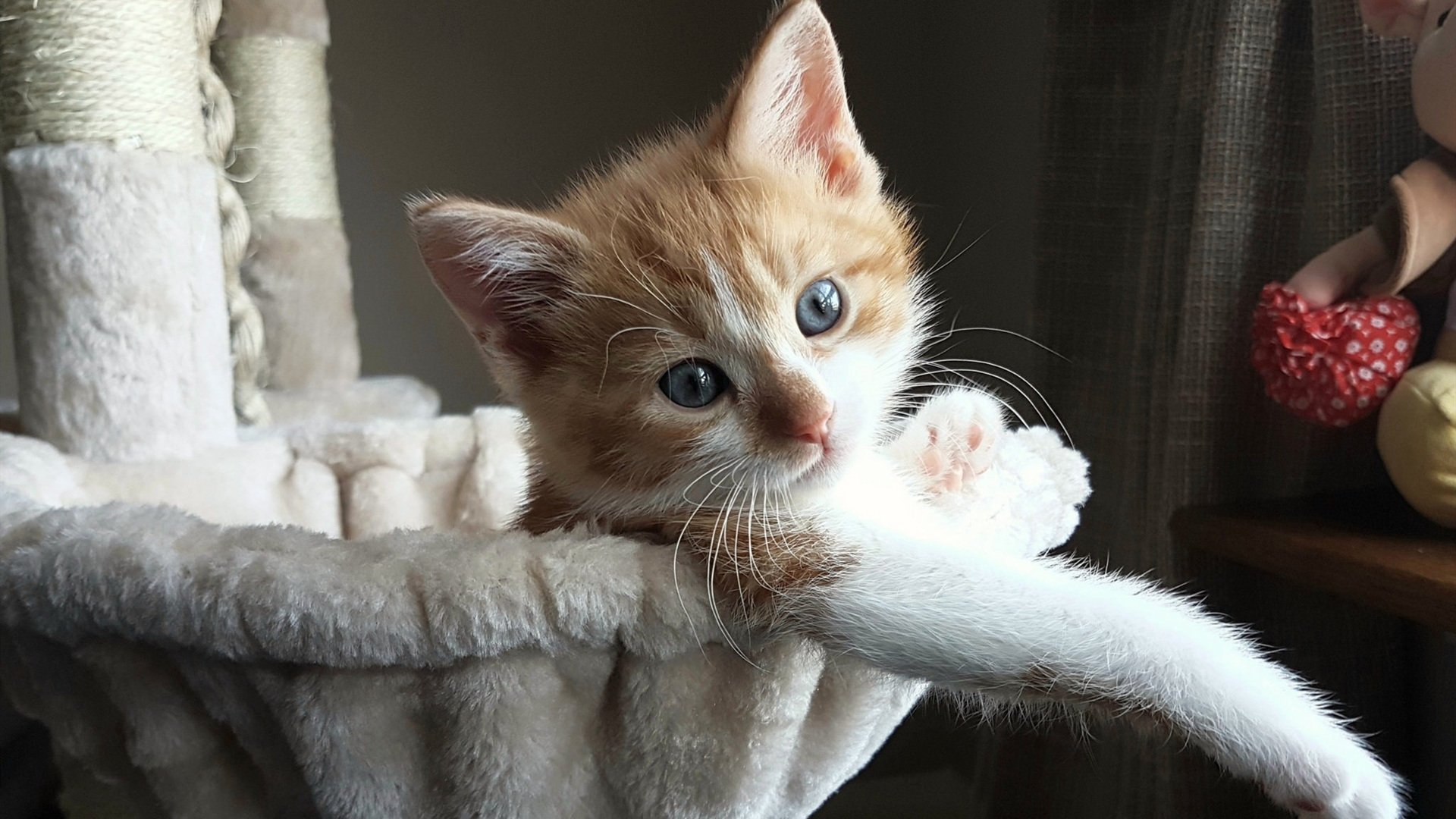 开云体育官网登入-_大型主题公园：娱乐+运动一体化的欢乐赛事_，主题公园运营